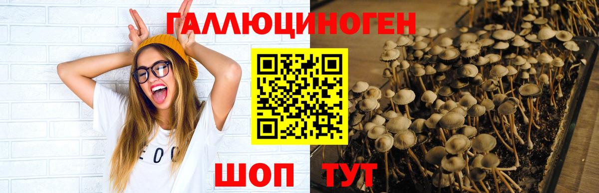 сколько стоит  Вход с VPN  Галлюциногенные грибы мицелий  Димитровград  Галлюциногенные грибы Psilocybine cubensis 
